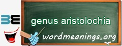 WordMeaning blackboard for genus aristolochia